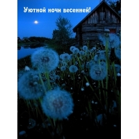 ������ ���� ��������!