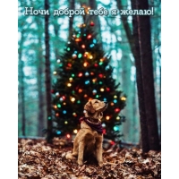 ���� ������ ���� � �����!