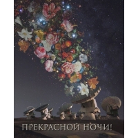 ���������� ����!