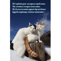 � � ������ ���� ��������� ���������