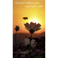 �������� ������ ����, ��������� ����!