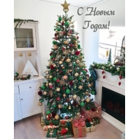 � ����� �����!
