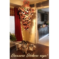 �������� ������ ����!