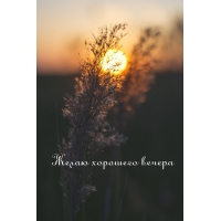 ����� �������� ������