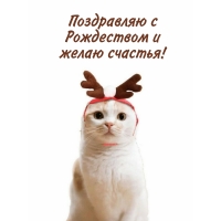 ���������� � ���������� � ����� �������!