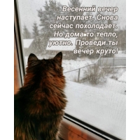 �������� ����� ���������. ������� �� ����� �����!