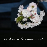 ��������� �������� ����!