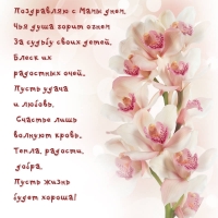 ���������� � ���� ����