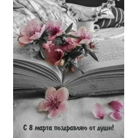 � 8 ����� ���������� �� ����!