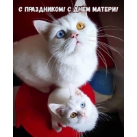 � ����������! � ���� ������!