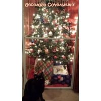 �������� ����������!