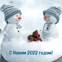 � ����� 2022 ����� ! 