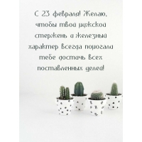 � 23 �������! �����, ����� ���� ������� ��������