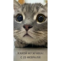 ����� �������! � 23 �������!