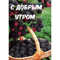 � ������ �����