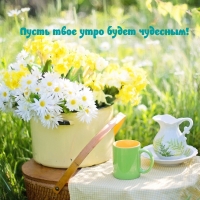 ����� ���� ���� ����� ��������!