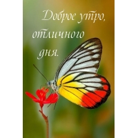 ������ ����, ��������� ���.