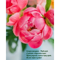 ������� �������� � ��������