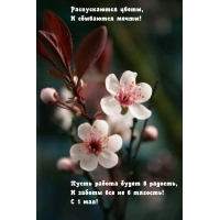 � 1 ���! ������������ �����, � ��������� �����!