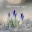 Доброе весеннее утро!