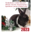Поздравляю с годом Кролика! 2023