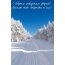 С добрым январским утром! Желаю тебе бодрости и сил!