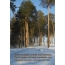 Зима на дворе, снова утро пришло. Пусть будет уютным и добрым оно