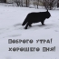 Доброго утра! Хорошего дня!