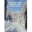 Пусть этим зимним утром тебя ждёт только радость.